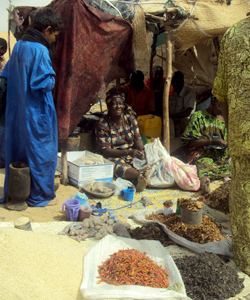 Projet Mali
