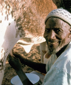 Photo projet Mali